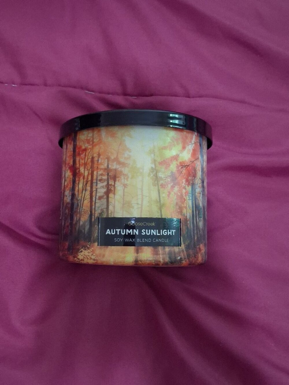 Goose Creek 3 Wick Candle - Autumn Sunlight (Leaves/Woods/Citrus)